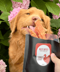 Kalkon Jerky (för matsmältningen + nervsystemet) - Best Bites