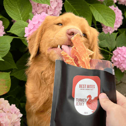 Kalkon Jerky (för matsmältningen + nervsystemet) - Best Bites