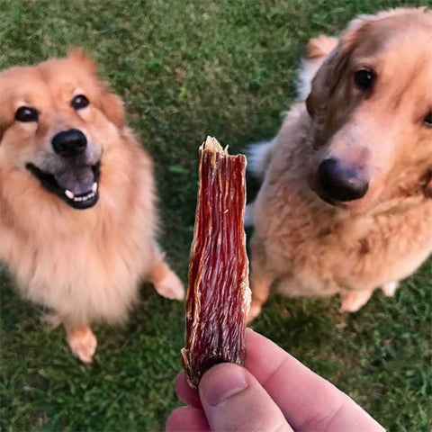 Kalakutienos Jerky (Virškinimui + Nervų Sistemai) - Best Bites