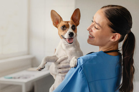 Naturlig behandling rekommenderad av veterinärer